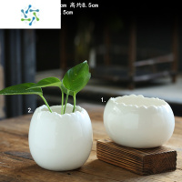 三维工匠水培花瓶器皿陶瓷花瓶创意个性插花水养绿萝植物花器客厅装饰摆件 白色惜缘+白色静荷无孔水培盆2个 中等