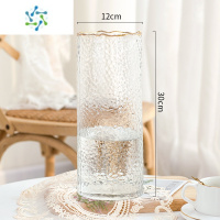 三维工匠北欧简约轻奢玻璃花瓶透明水养富贵竹百合干鲜花客厅插花餐桌摆件 1230冷纹描金(透明色)