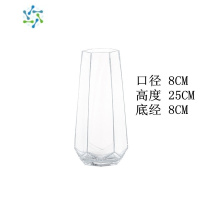 三维工匠北欧简约网红玻璃花瓶透明创意水养玫瑰百合客厅插花家用摆件花器 中号六边形(透明)