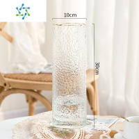 三维工匠北欧简约轻奢玻璃花瓶透明水养富贵竹百合干鲜花客厅插花餐桌摆件 1030冷纹描金(透明色)