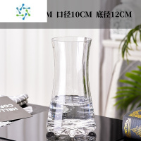 三维工匠轻奢描金简约玻璃花瓶透明水养鲜花百合富贵竹客厅北欧插花摆件 TY1324小号透明