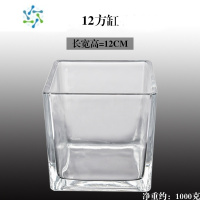 三维工匠创意玻璃花盆绿萝白掌花瓶水培器皿水养植物瓶透明花器正方形容器 两个12方缸
