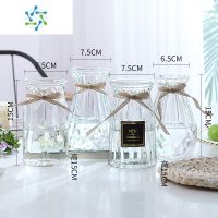 三维工匠[四件套]北欧玻璃花瓶透明水培植物富贵竹百合客厅花器插花摆件 M15(贴标+竖菱+南瓜+钻石)透明 大