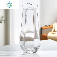 三维工匠创意简约ins玻璃花瓶透明水养富贵竹百合干鲜花插花北欧网红花瓶 挪威款(透明中号) 大