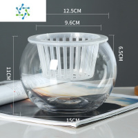 三维工匠水培植物玻璃瓶水培绿萝花瓶花盆大号玻璃圆球型水养鱼缸器皿容器 15圆球+水培篮子 中等