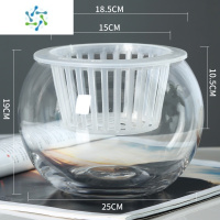 三维工匠水培植物玻璃瓶水培绿萝花瓶花盆大号玻璃圆球型水养鱼缸器皿容器 25圆球+水培篮子 中等