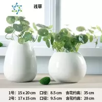 三维工匠陶瓷花瓶摆件客厅插花办公室水培器皿大肚子陶罐北欧现代简约白色 1号2号一对(6759/6760)+6支仿真铜钱草