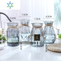三维工匠[四件套]北欧玻璃花瓶透明水培植物富贵竹百合客厅花器插花摆件 M15(贴标+竖菱+南瓜+钻石)烟灰 大