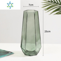 三维工匠创意简约ins玻璃花瓶透明水养富贵竹百合干鲜花插花北欧网红花瓶 挪威款(绿色中号) 大