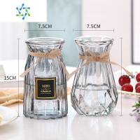 三维工匠[四件套]北欧玻璃花瓶透明水培植物富贵竹百合客厅花器插花摆件 M15(贴标+南瓜)烟灰色 大