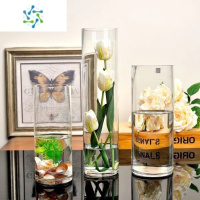 三维工匠特大玻璃花瓶大号直筒透明客厅落地插花富贵竹水培水养简约摆件 口12高60 中等