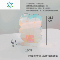 三维工匠 北欧亚克力创意花瓶镜面简约插花玄关客厅艺术装饰摆件 亚克力花瓶-高款镜面炫彩