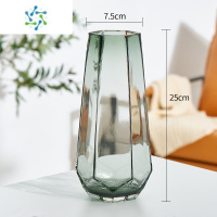 三维工匠创意简约ins玻璃花瓶透明水养富贵竹百合干鲜花插花北欧网红花瓶 挪威款(烟灰中号) 大