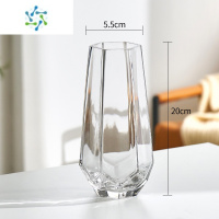 三维工匠创意简约ins玻璃花瓶透明水养富贵竹百合干鲜花插花北欧网红花瓶 挪威款(透明小号) 大