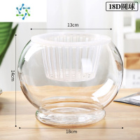 三维工匠水培植物玻璃瓶透明花瓶水养绿萝花盆养鱼器皿鱼缸大容器客厅摆件 圆球D款大号[含水培定植篮]