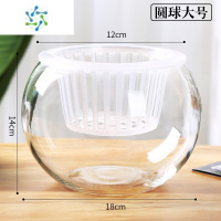 三维工匠水培植物玻璃瓶透明花瓶水养绿萝花盆养鱼器皿鱼缸大容器客厅摆件 圆球大号[含水培定植篮]