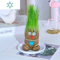 三维工匠草头娃娃头上长草人小盆栽种植物浇水长头发迷你绿植儿童观察生长花卉