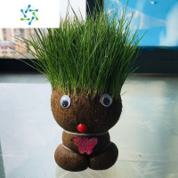 三维工匠草头娃娃头上长草人小盆栽种植物浇水长头发迷你绿植儿童观察生长花卉