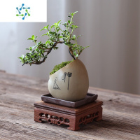 三维工匠室内桌面办公桌悬崖六月雪小绿植盆栽植物茶几客厅摆件盆景好养活花卉