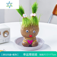 三维工匠草头娃娃头上长草人小盆栽种植物浇水长头发迷你绿植儿童观察生长花卉