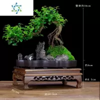 三维工匠小叶雀梅盆景树桩造型盆景植物老桩室内客厅绿植桌面盆栽四季常青花卉