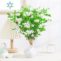 三维工匠九里香水培盆栽苗办公室内桌面七里香绿植物千里眼好养四季开花卉
