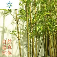 三维工匠仿真竹子室内装饰隔断屏风假竹子挡墙造景室外装饰竹盆栽加密绿植花卉