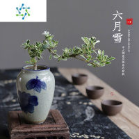 三维工匠金边六月雪国风青花中式书内净化空气吸甲醛绿植盆栽好养观叶花卉