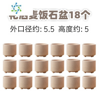 三维工匠花洒多肉花盆拇指盆陶瓷透气麦饭石多肉植物粗陶多肉植物花盆花盆容器