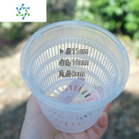 三维工匠蝴蝶兰专用花盆 铁皮石斛苗文心兰透气多肉盆 大号透明塑料控根盆花盆容器