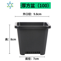 三维工匠多肉花盆景天小方盆塑料小黑方加厚育苗盆花卉绿植鲜花简约花盆容器