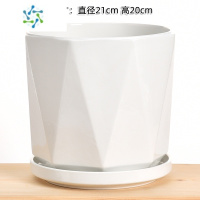 三维工匠大号花盆陶瓷简约纯白色北欧带托盘个性家用绿萝吊兰花盆容器