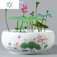 三维工匠无孔大小号碗莲睡莲水仙绿萝水培养容器白色花盆创意个性高桶筒盆花盆容器