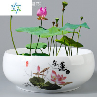 三维工匠大号无孔碗莲荷花水培铜钱草水仙绿萝花盆陶瓷盆创意水养专用容器花盆容器