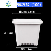 三维工匠白色多肉花盆景天小方盆景天盆多肉仙人球塑料加厚花卉绿植育苗盆花盆容器