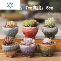 三维工匠新款麦饭石多肉花盆捏花透气吸水复古大口径浮雕组合老桩阳台花盆容器