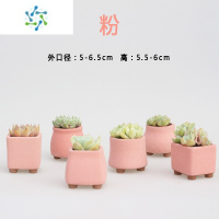 三维工匠麦饭石多肉花盆紫砂粗陶透气创意手绘大口径法师群生手工陶盆花盆容器