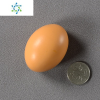 三维工匠3d立体仿真食物冰箱贴个性创意可爱磁性贴磁铁吸铁石一套冰箱装饰 逼真鸡蛋 中墙贴