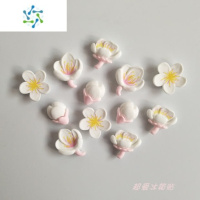 三维工匠小清新树脂装饰冰箱贴磁贴磁铁贴 田园花朵创意白板贴卡通磁性贴 白色12个(磁铁款)2-2.5厘米 小墙贴