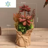 三维工匠美式乡村仿真多肉花草盆栽桌面小摆件创意客厅酒柜盆景装饰品摆设 红色