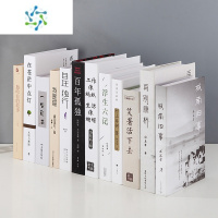 三维工匠现代假书摆件装饰书仿真书创意饰品客厅书柜摆设模型道具 简约中文(二)12本