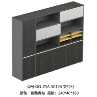 DO 卓越 ZYA-S0124 文件柜
