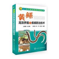 正版   新版黄鳝高效养殖与疾病防治技术 鳝鱼水产高效健康养殖书 黄鳝水产养殖技术全书籍 养殖书鳝鱼繁殖饲养防治病技