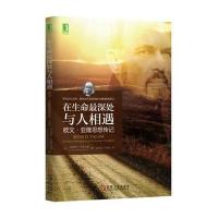 在生命最深处与人相遇/欧文·亚隆思想传记/心理学书籍/团体治疗思想传记/存在主义心理治疗/心理干预