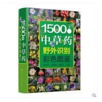 厚800页精装 国家药典中草药图鉴 中草药野外识别中药材大百科本草纲目彩色图鉴 中医入初学者常见中草药识别中医养生