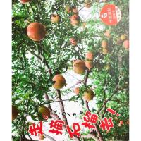 【第2件立】走，摘石榴去 孙俪微博推荐绘本3-6岁儿童早教睡前亲子读故事书幼儿园大中小班阅读童书精装 中国中福会出