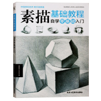 赠视频素描零基础教程从入到精通初级教程材书籍者铅笔手绘画画册本从单个体石膏几何体成人美术的诀窍临摹范本到精通套人物