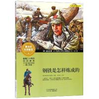 钢铁是怎样炼成的 彩图版世界少年文学精选儿童文学经典读物中小学生课外阅读少儿成长励志书世界文学名著曹文轩推荐系列 销