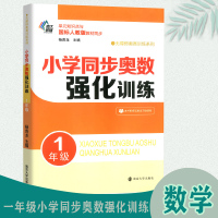 小学同步奥数强化训练1年级 数学思维训练天天练 小学生1一年级数学计算题强化同步训练奥数教程书培优拓展提高强化
