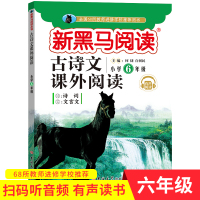 2019版新黑马古诗文课外阅读 六年级/6年级 古诗词文言文课外阅读拓展训练提高古诗文阅读理解小学阅读理解练习同步课